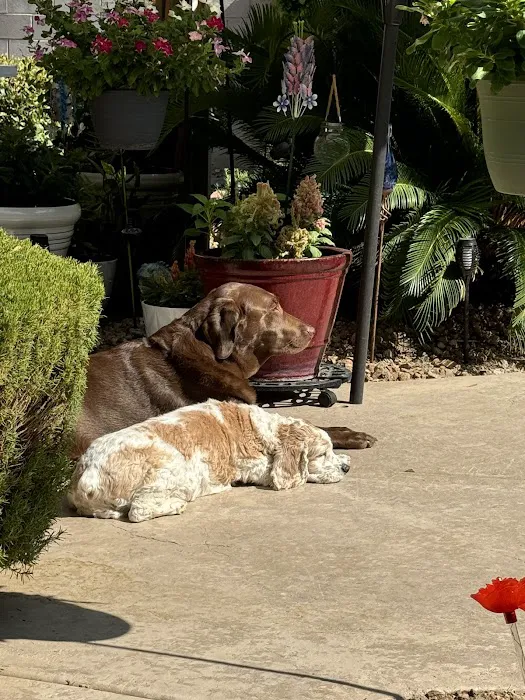 Vetco Total Care Animal Hospital Picture 9