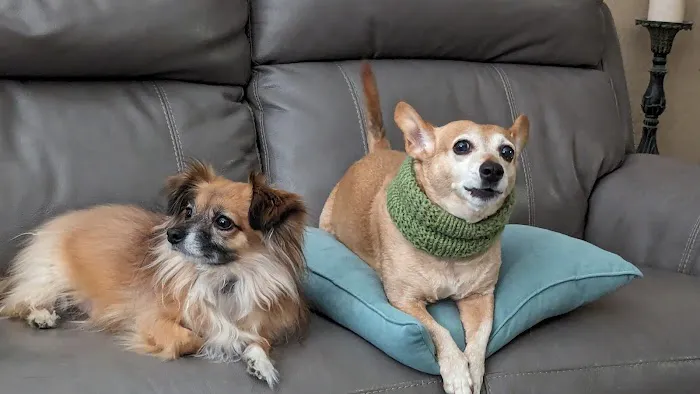 Banfield Pet Hospital Picture 5