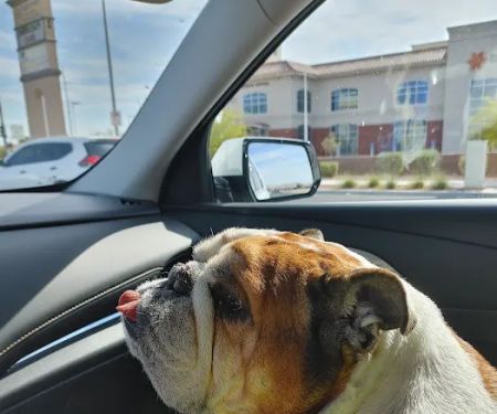 Banfield Pet Hospital