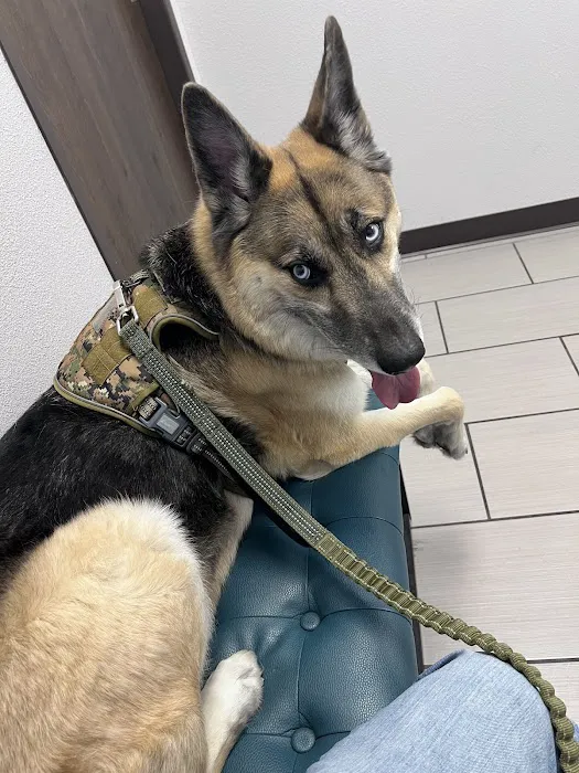 Seven Hills Pet Hospital Picture 7