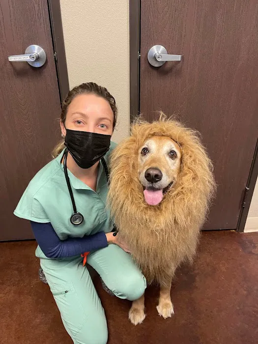 Town Center Animal Hospital Picture 3