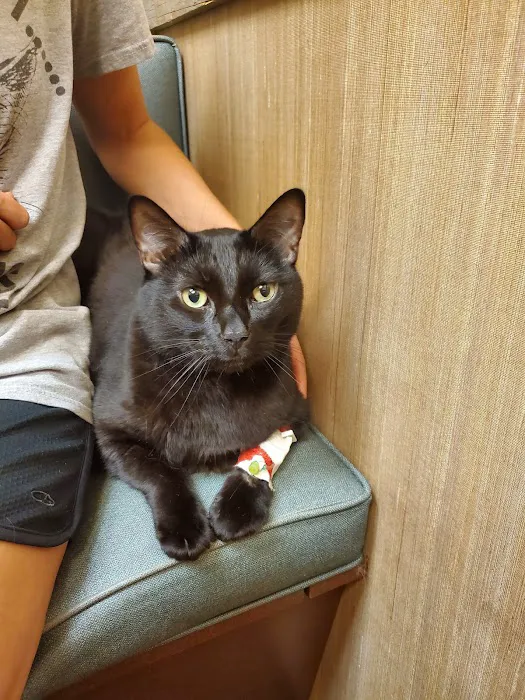 Town Center Animal Hospital Picture 7
