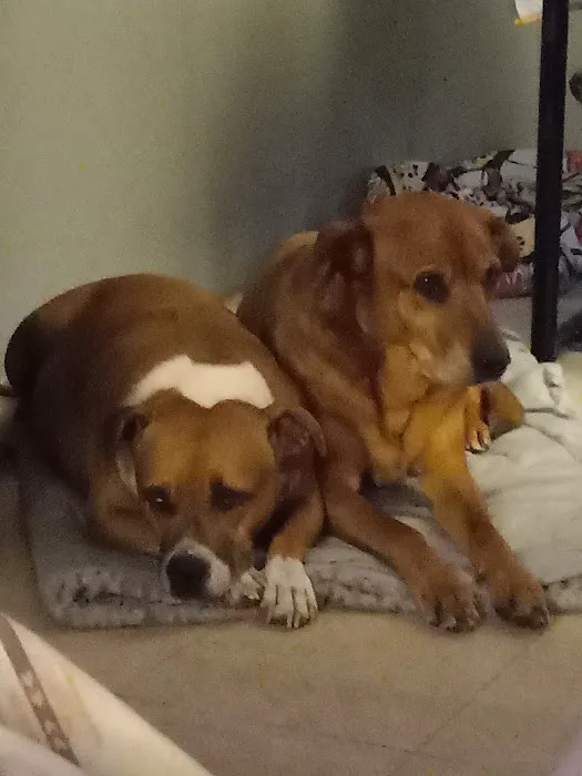 Red Rock Animal Hospital Picture 5