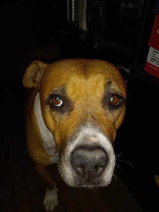 Red Rock Animal Hospital Picture 3