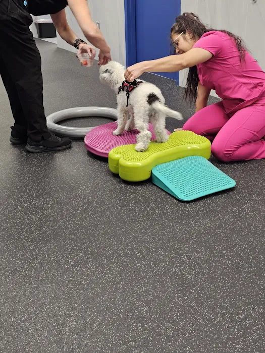Rehab 4 PAWS & Integrative Therapy Picture 2