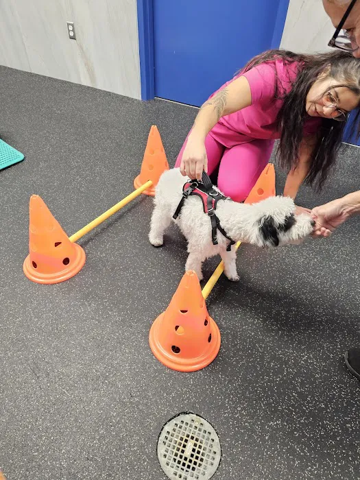 Rehab 4 PAWS & Integrative Therapy Picture 1