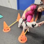 Rehab 4 PAWS & Integrative Therapy