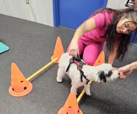Rehab 4 PAWS & Integrative Therapy
