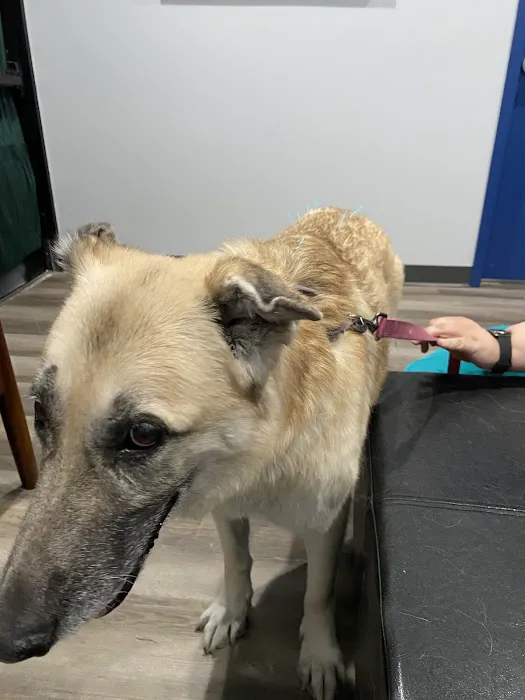 Highlands Animal Care Picture 9