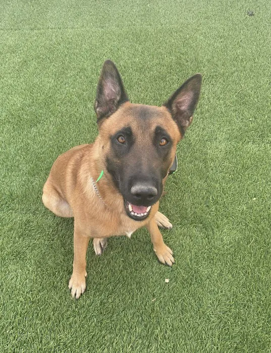 PAWS Health Partners Picture 10