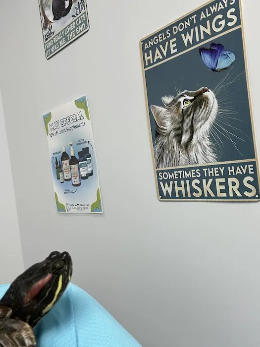 PAWS Health Partners Picture 6