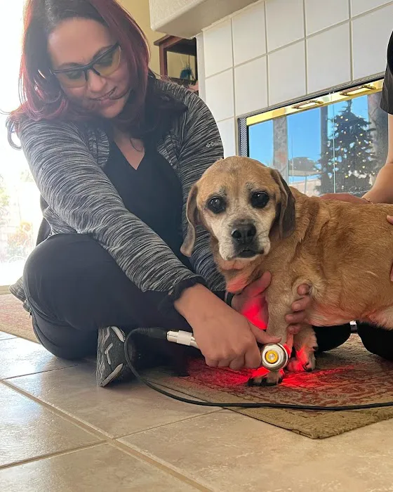 PAWS Health Partners Picture 9