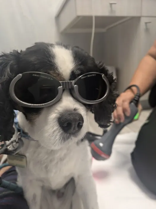 PAWS Health Partners Picture 5