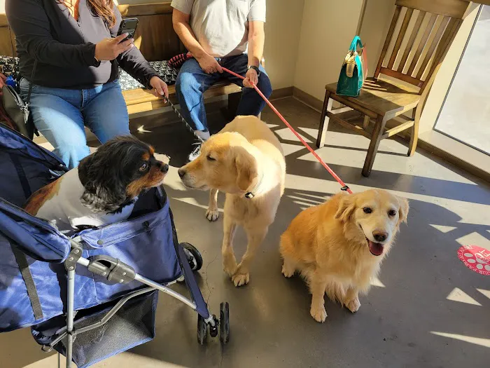 Horizon Ridge Animal Hospital Picture 3