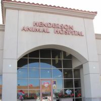 Henderson Animal Hospital ico
