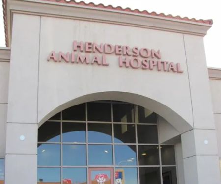 Henderson Animal Hospital