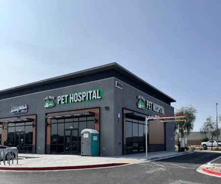 Lake Mead Pet Hospital