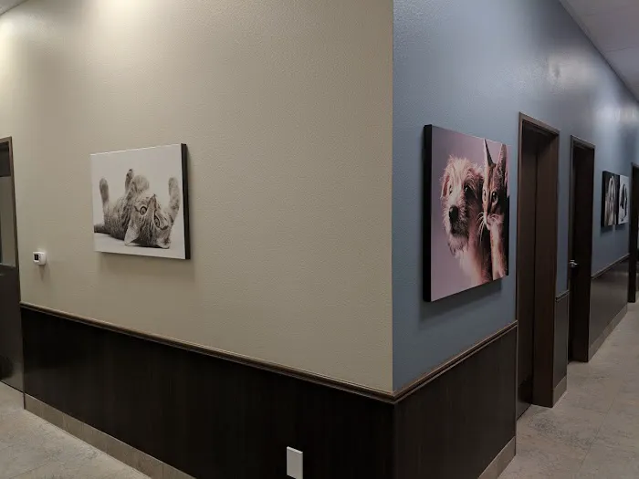 Cadence Animal Hospital Picture 1