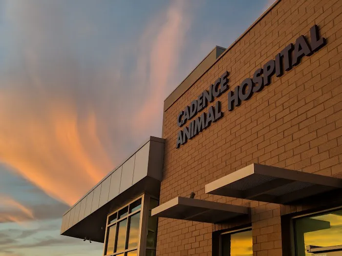 Cadence Animal Hospital Picture 4