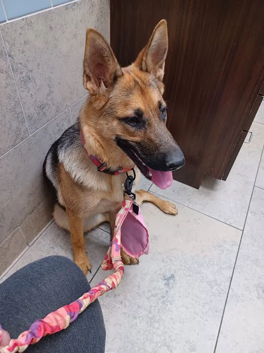 Cadence Animal Hospital Picture 5