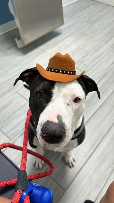 Canyon Ridge Animal Hospital Picture 7