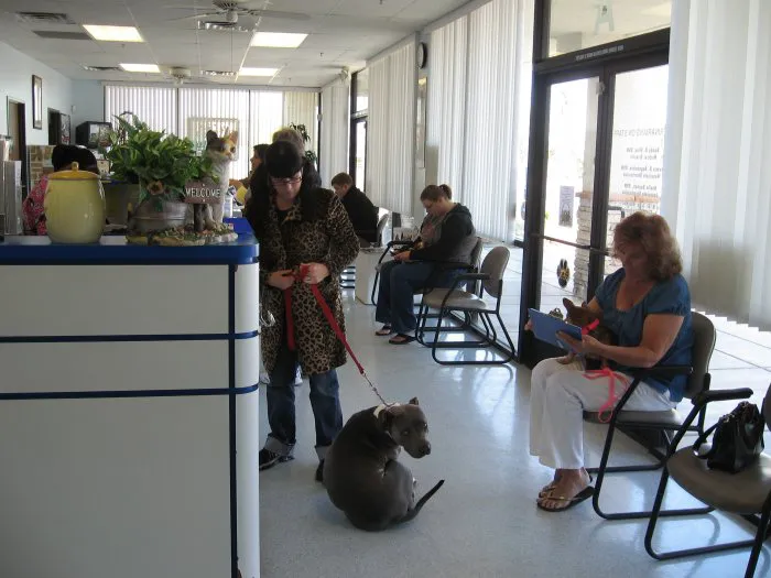 VCA Black Mountain Animal Hospital Picture 7