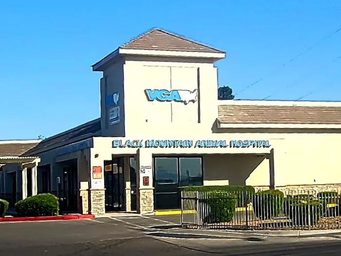 VCA Black Mountain Animal Hospital Picture 6