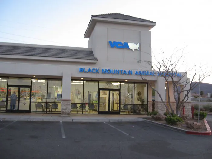 VCA Black Mountain Animal Hospital Picture 2
