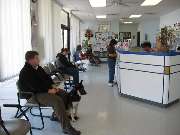 VCA Black Mountain Animal Hospital Picture 4