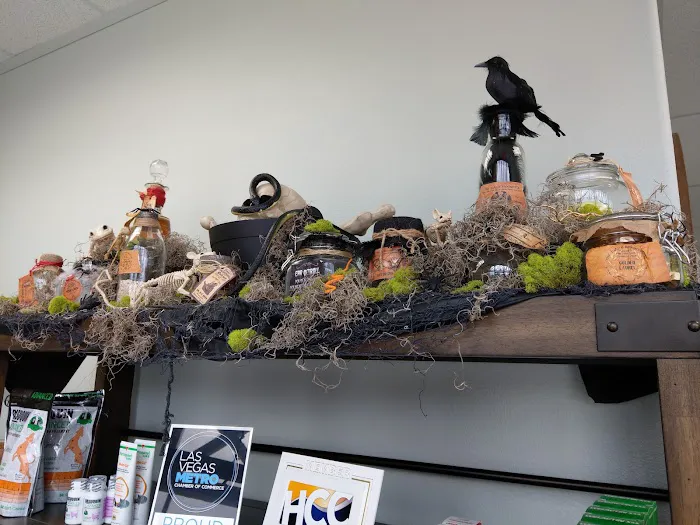 Magnolia Pet Wellness Center Picture 8