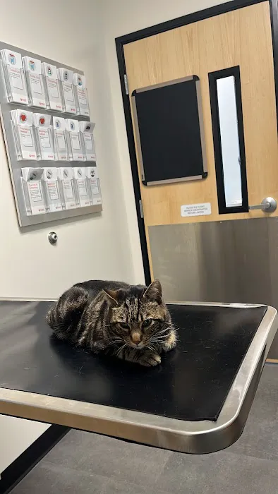 Banfield Pet Hospital Picture 6
