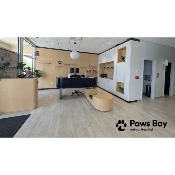 Paws Bay Animal Hospital Picture 6