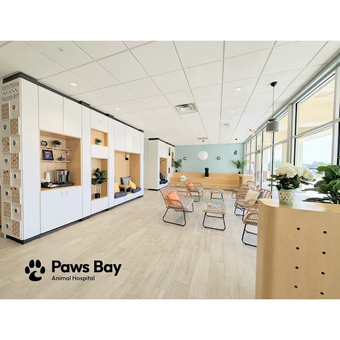 Paws Bay Animal Hospital Picture 8
