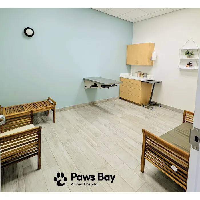 Paws Bay Animal Hospital Picture 2