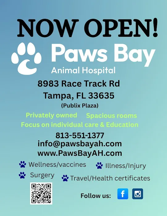 Paws Bay Animal Hospital Picture 9