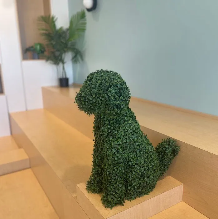 Paws Bay Animal Hospital Picture 3