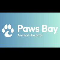 Paws Bay Animal Hospital ico