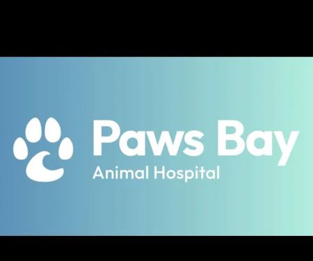 Paws Bay Animal Hospital