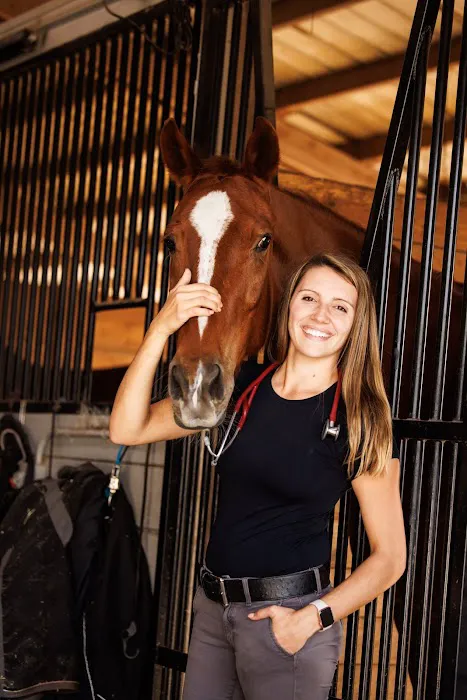 Sun Coast Equine Veterinary Care Picture 3