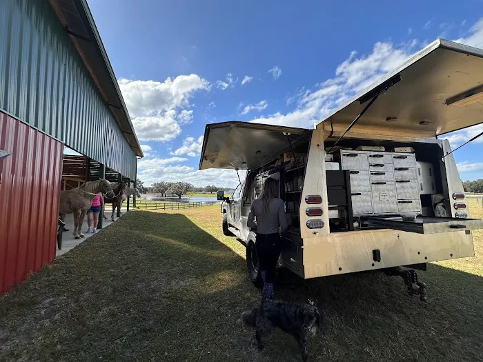 Sun Coast Equine Veterinary Care Picture 2