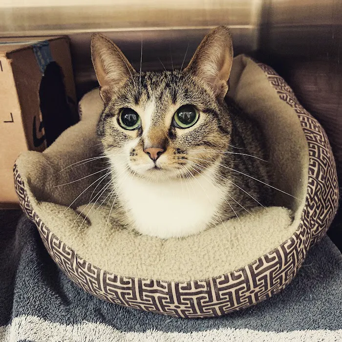 West Park Animal Hospital Picture 8