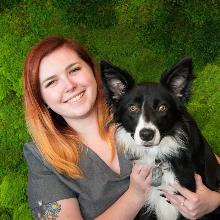 West Park Animal Hospital Picture 10