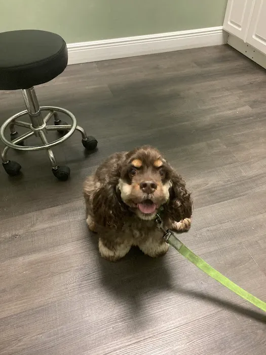 West Park Animal Hospital Picture 6
