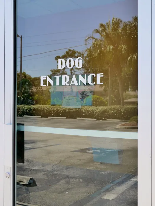 Van Dyke Animal Clinic - Veterinarian Picture 4
