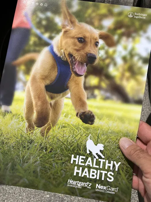 Van Dyke Animal Clinic - Veterinarian Picture 10