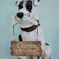 Van Dyke Animal Clinic - Veterinarian ico