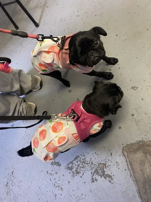 Woodlands Animal Hospital Picture 9