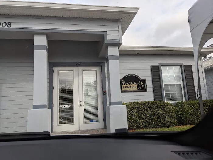 Pet Dentist At Tampa Bay Picture 3