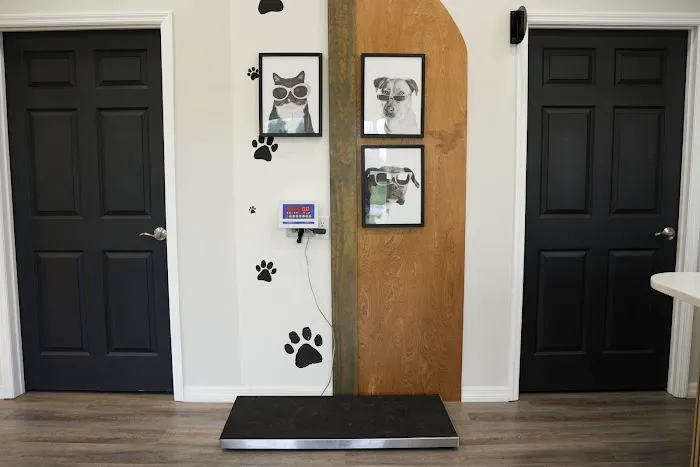 Collier Parkway Animal Hospital Picture 4