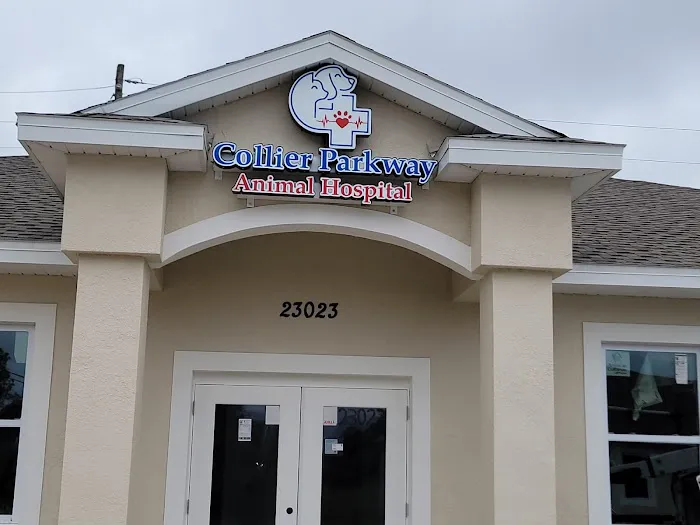 Collier Parkway Animal Hospital Picture 1